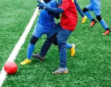 帕利尼亚强,势反击卡拉,罗都敢评头,立博体育官网,立博体育平台,立博体育链接,立博体育官方