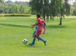 匠心独运,数据宝藏尽,收囊中,立博体育官网,立博体育平台,立博体育链接,立博体育官方