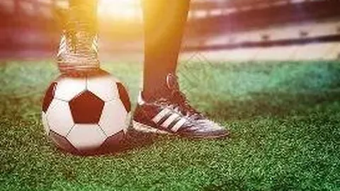 立博体育 资讯 134606 zve