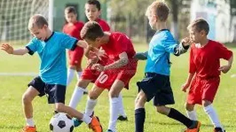 立博体育 资讯 094454 rji