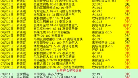 图赫尔战术立博体育平台：阿根廷之战或继续四后卫阵容，深度解析